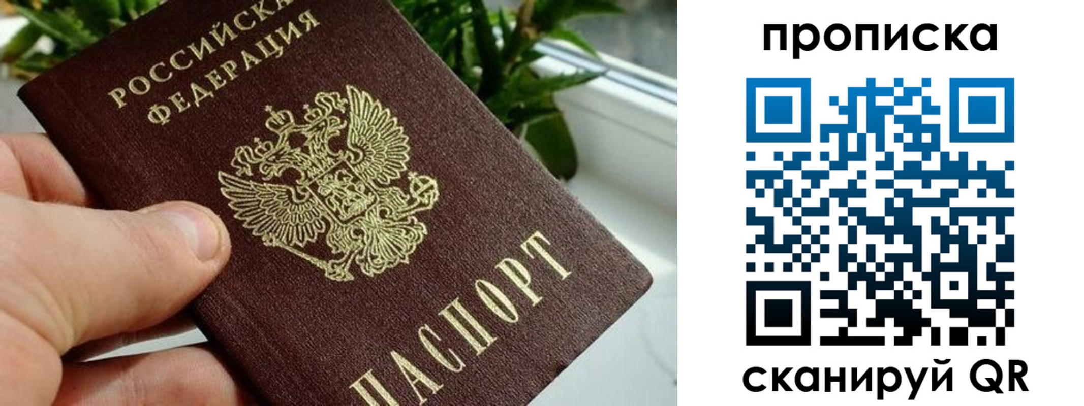 временная прописка в Снежинске